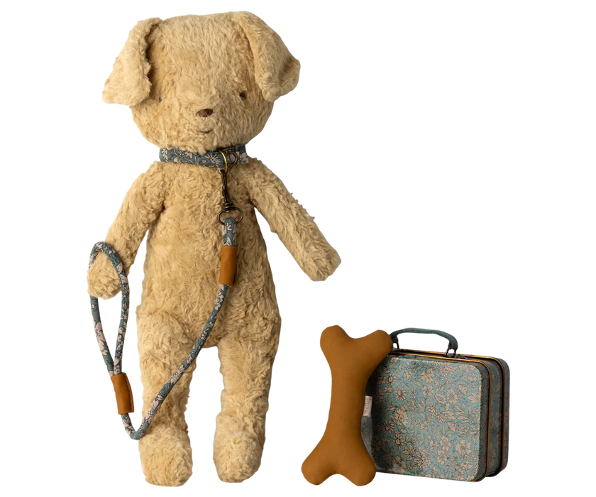 Puppy accessories - Blue