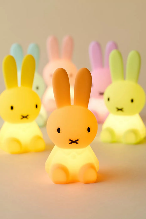 Miffy Colourful Surprise Bundle of Light by Mr. Maria