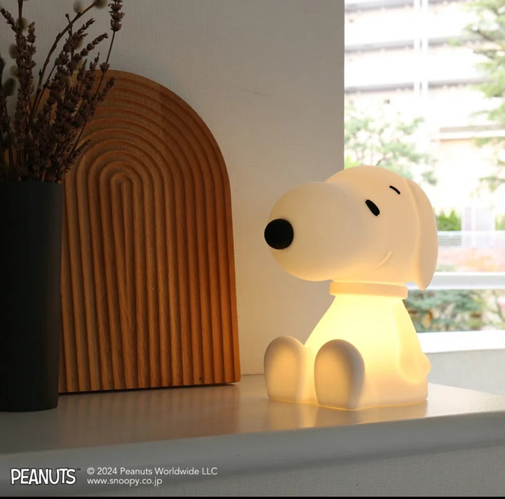 Mr Maria Snoopy
Lights