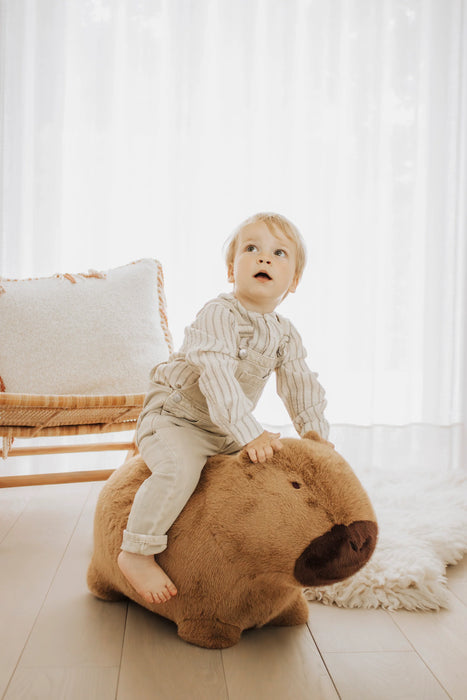 Soft Bouncy Capybara
