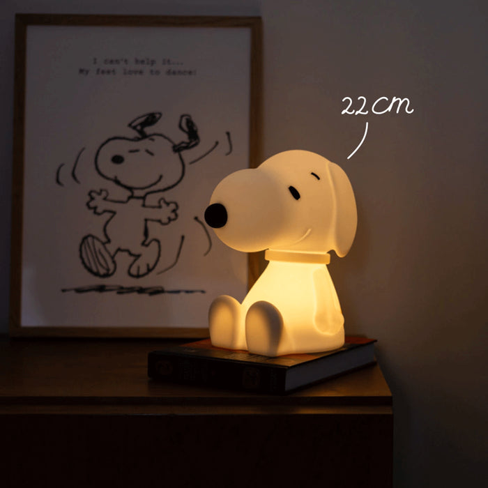 Mr Maria Snoopy
Lights