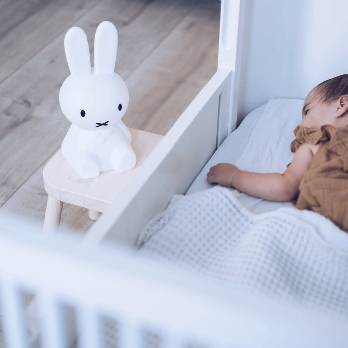 Mr Maria Miffy
Lights