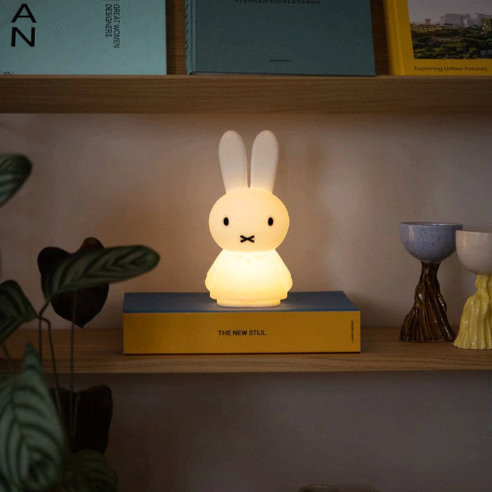 Mr Maria Miffy
Lights