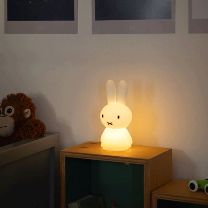 Mr Maria Miffy
Lights