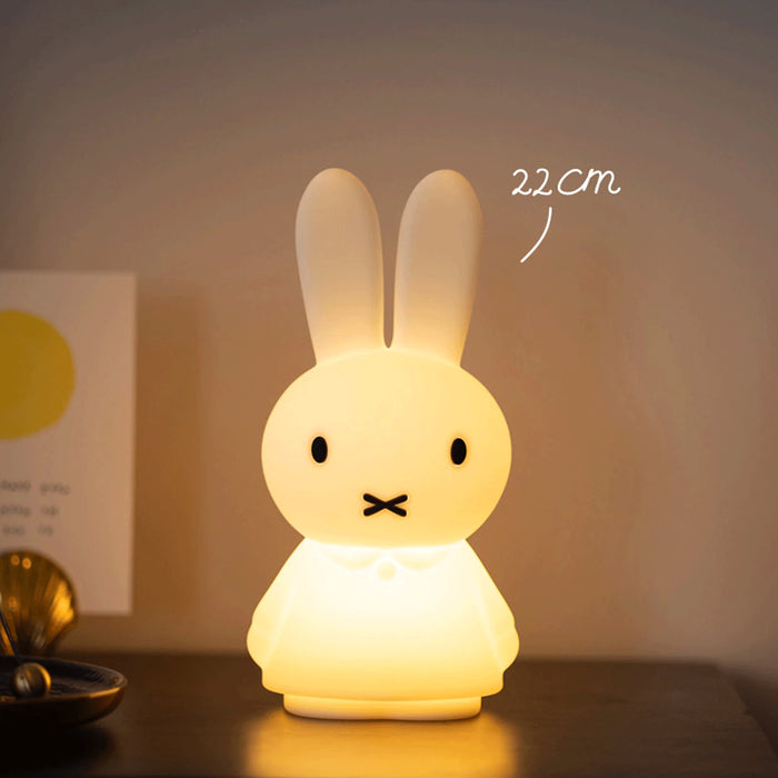 Mr Maria Miffy
Lights