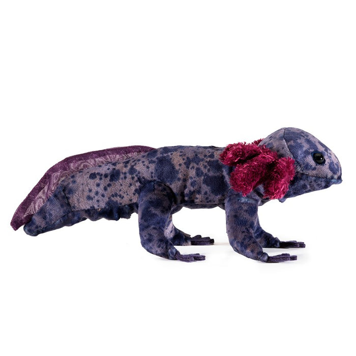 Axolotl Black