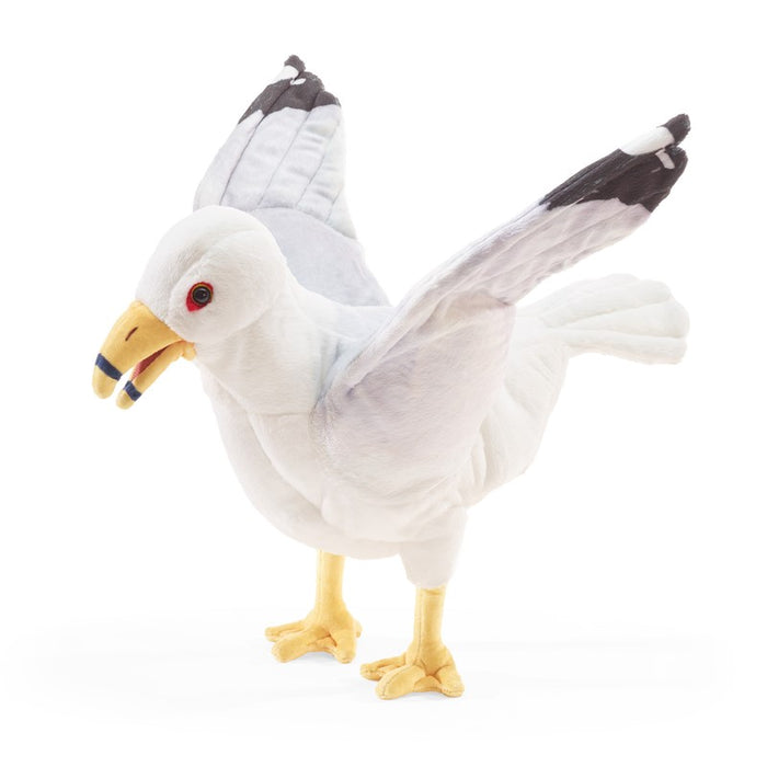 Gull