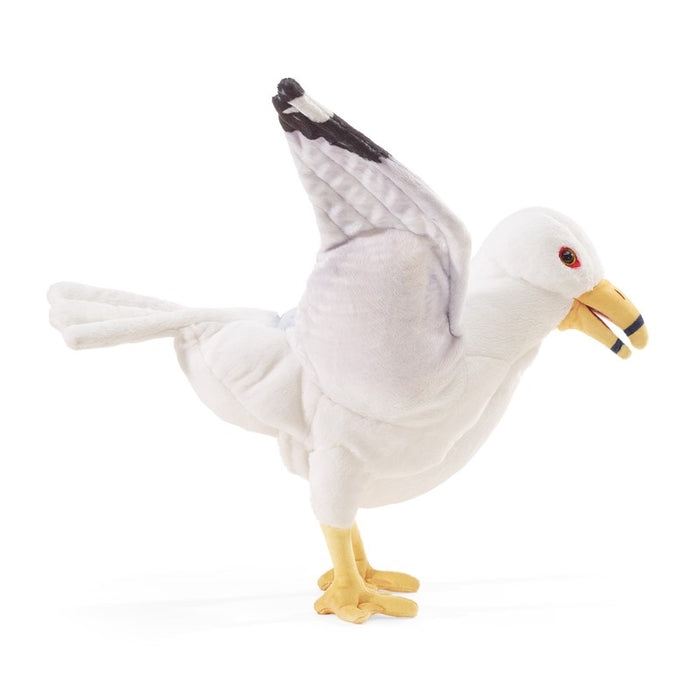 Gull