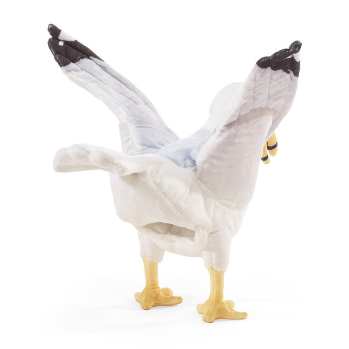 Gull