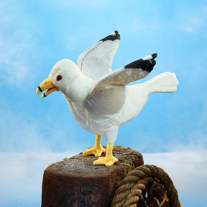 Gull