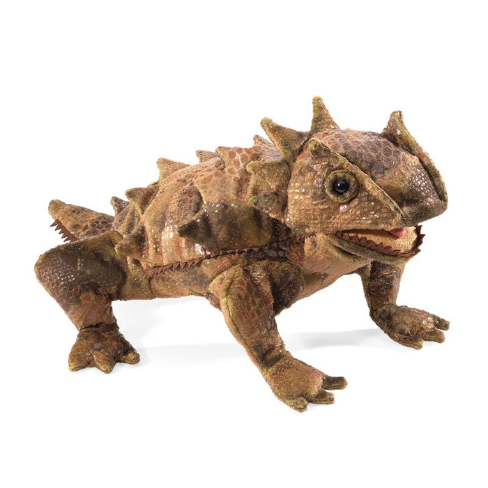 Lizard, Horned