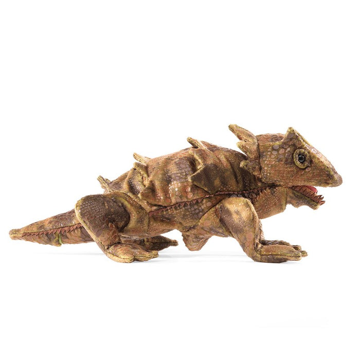 Lizard, Horned