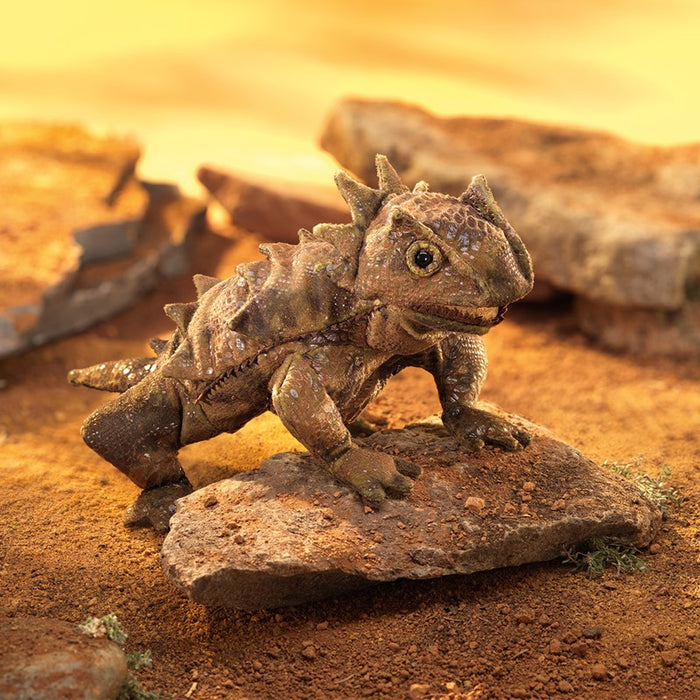Lizard, Horned