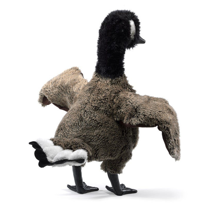 Canada Goose
