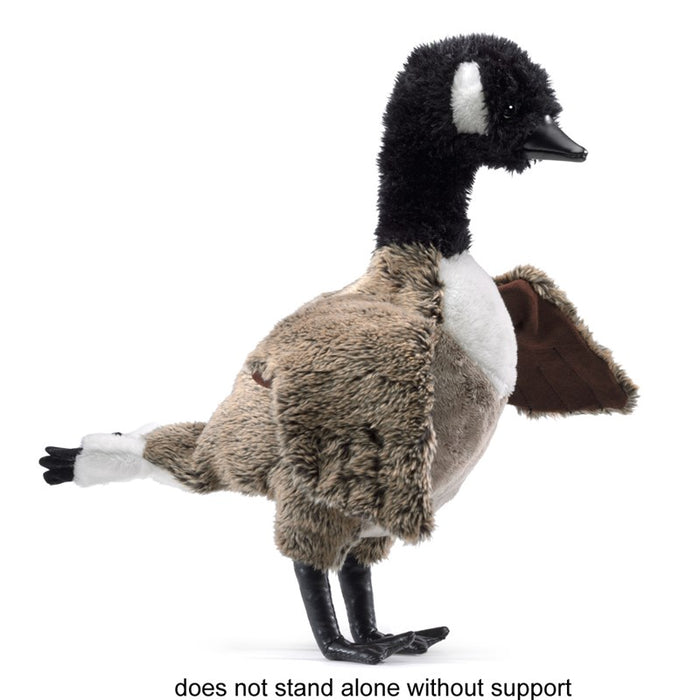 Canada Goose