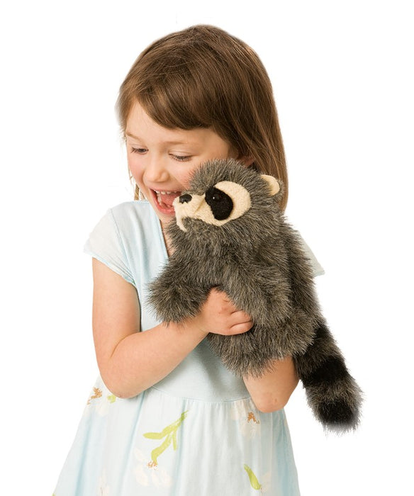 Baby Raccoon