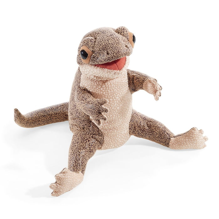 Lizard