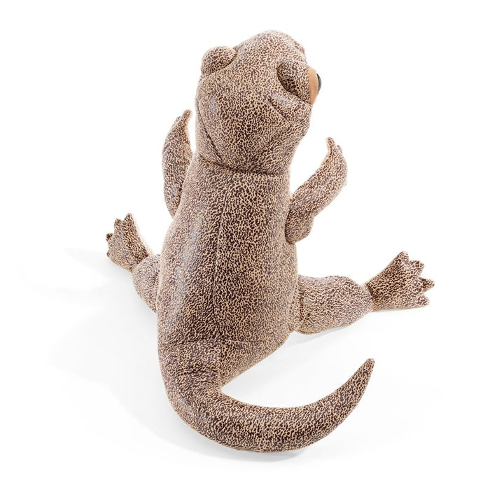 Lizard
