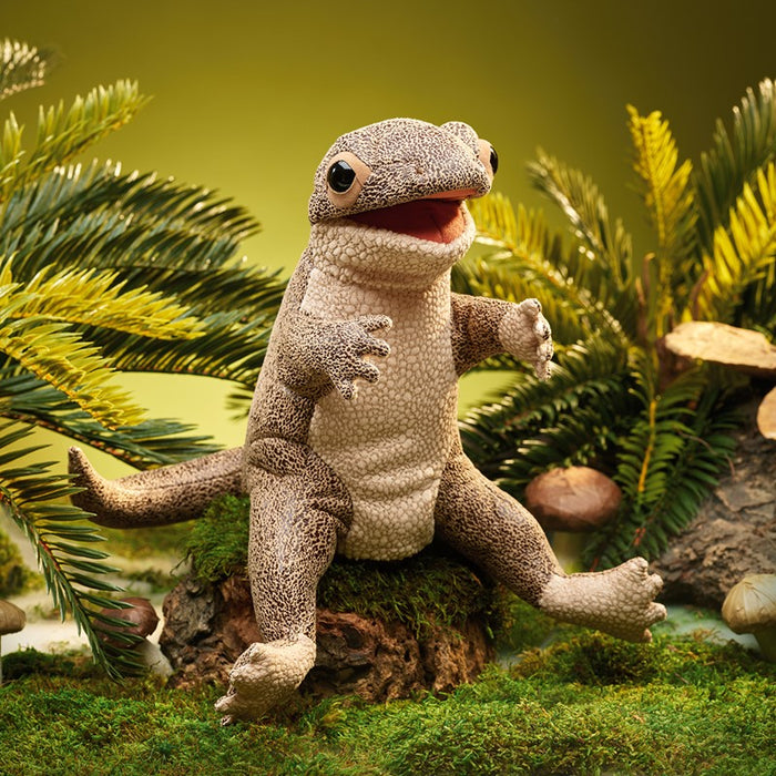 Lizard