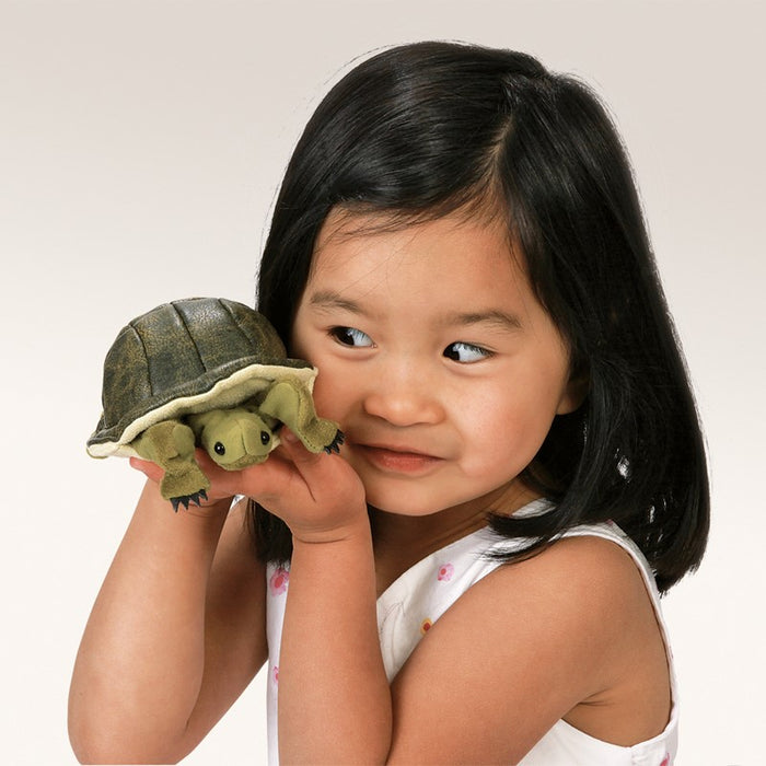 Mini Turtle