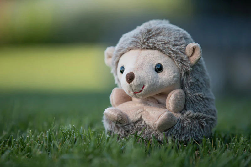 Sweet Hubert - Sitting