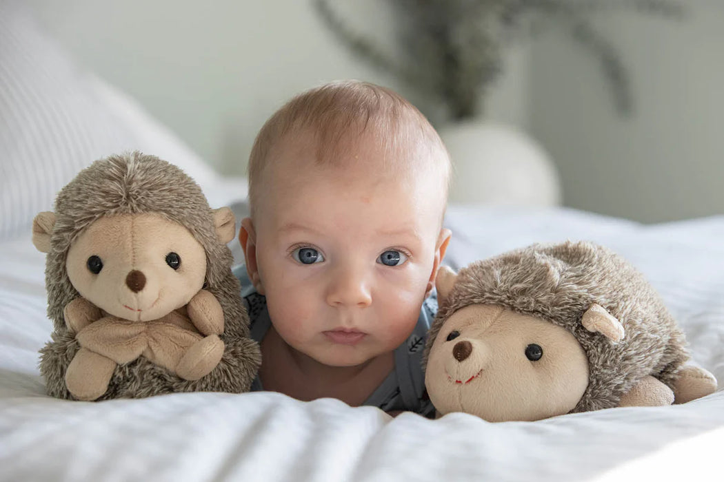 Sweet Hubert - Sitting