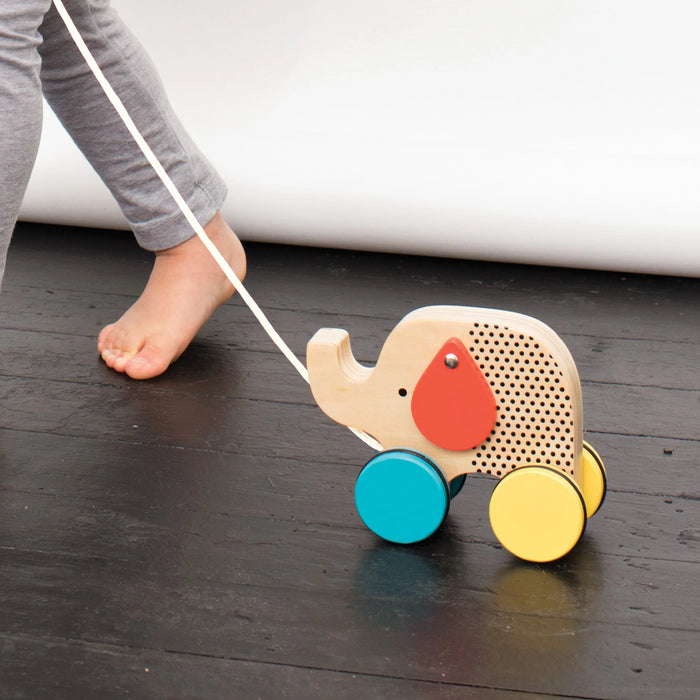 Jumping Jumbo Wooden Pull Along Toy