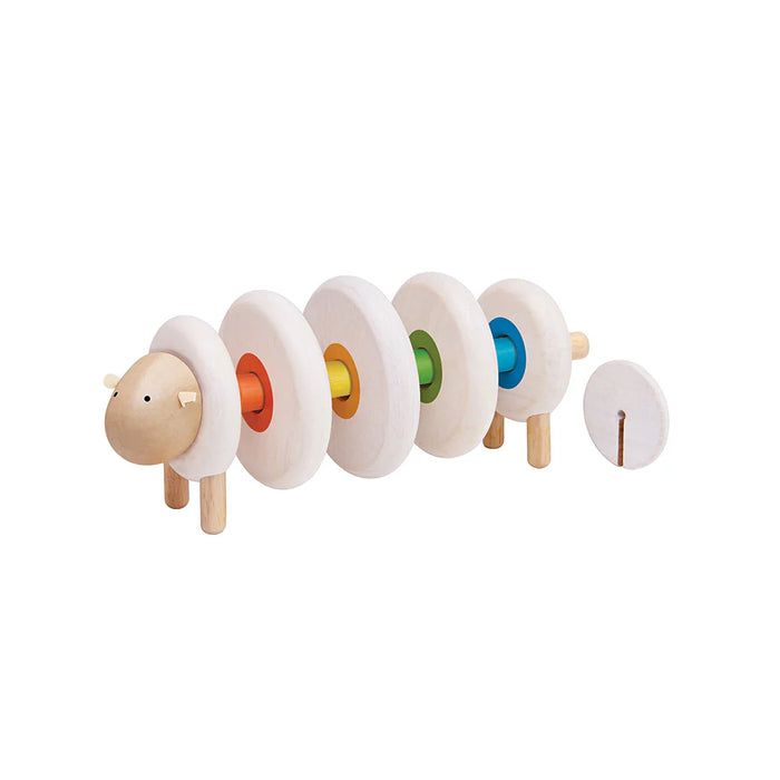 Lacing Sheep