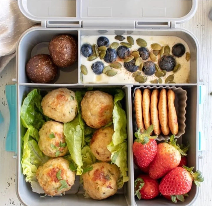 Bento Three Plus - Grey