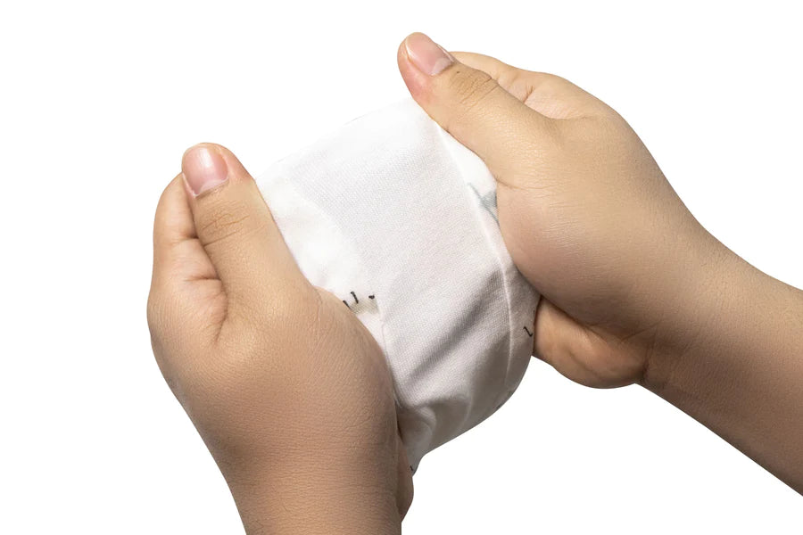 Raglan Bamboo Pima Short Sleeve Footed Sleep Bag 0.6 TOG -The Ant & The Grasshopper