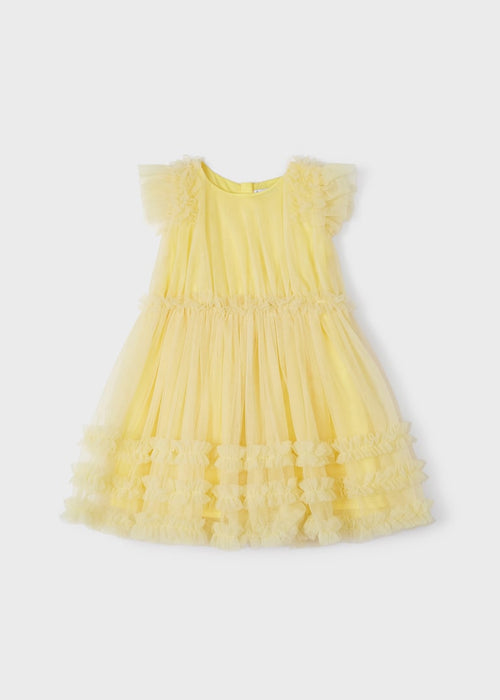 Tulle Dress Girl